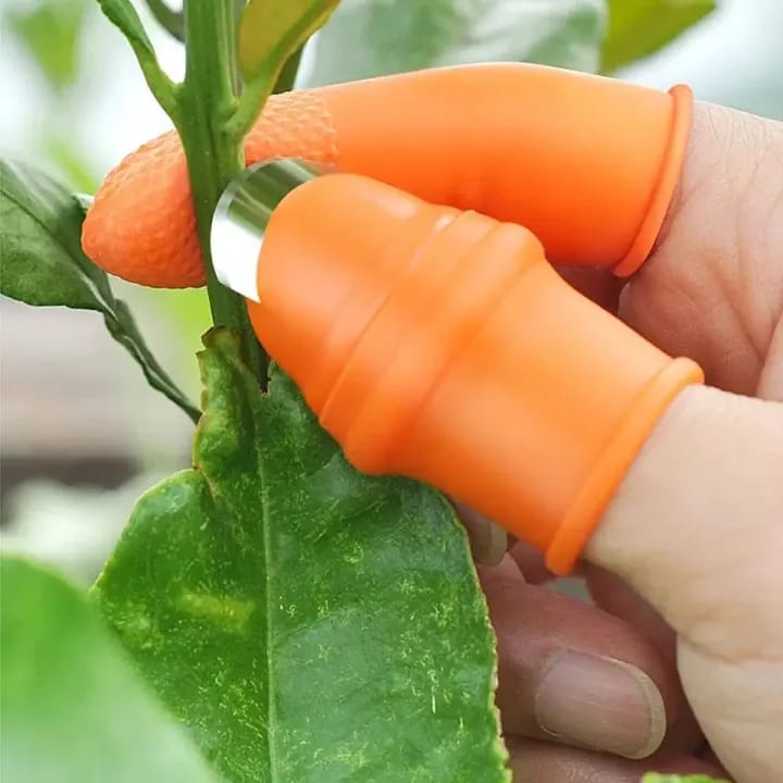 Thumb Knife with Finger Protector