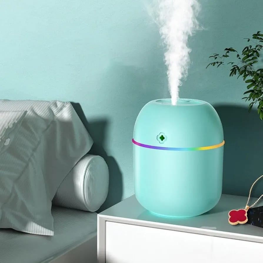 Portable Mini Egg-Shaped Air Humidifier